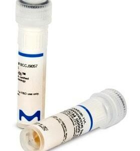 Vitroids™ - Lenticule®