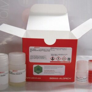 Biología molecular y genómica funcional
