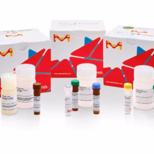 Química y bioquímica